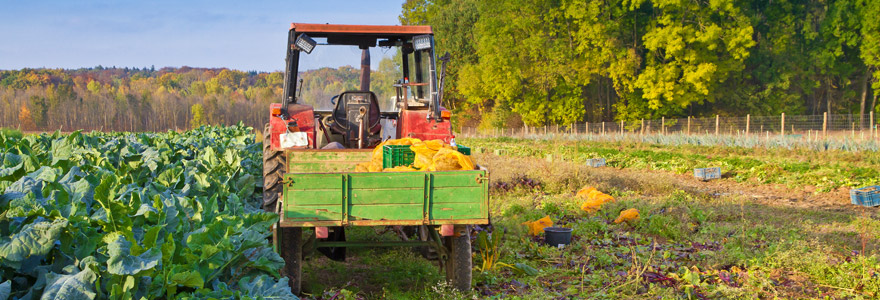 agriculture biologique